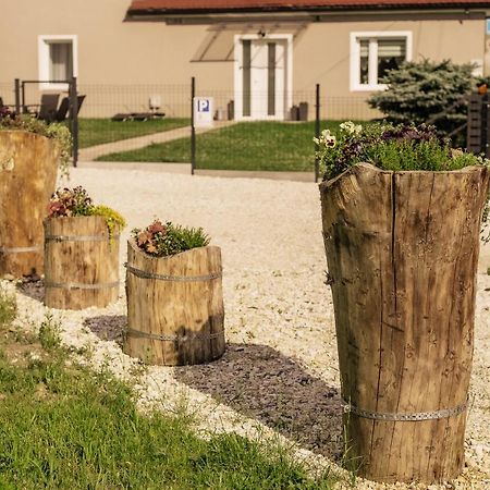 Appartamento Apartament Pod Lasem Oldrzychowice Klodzkie Esterno foto